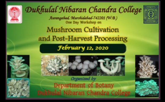 Dukhulal nibaran chandra college